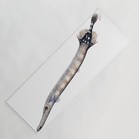 Trumpet Fish Yoga Mat By Chloeyzoard Society6