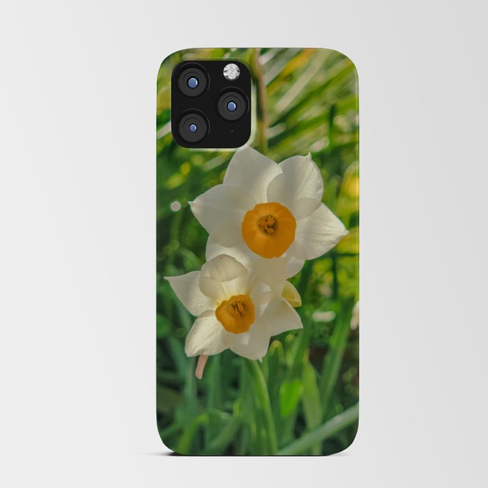 Daffodils after the rain iPhone Card Case