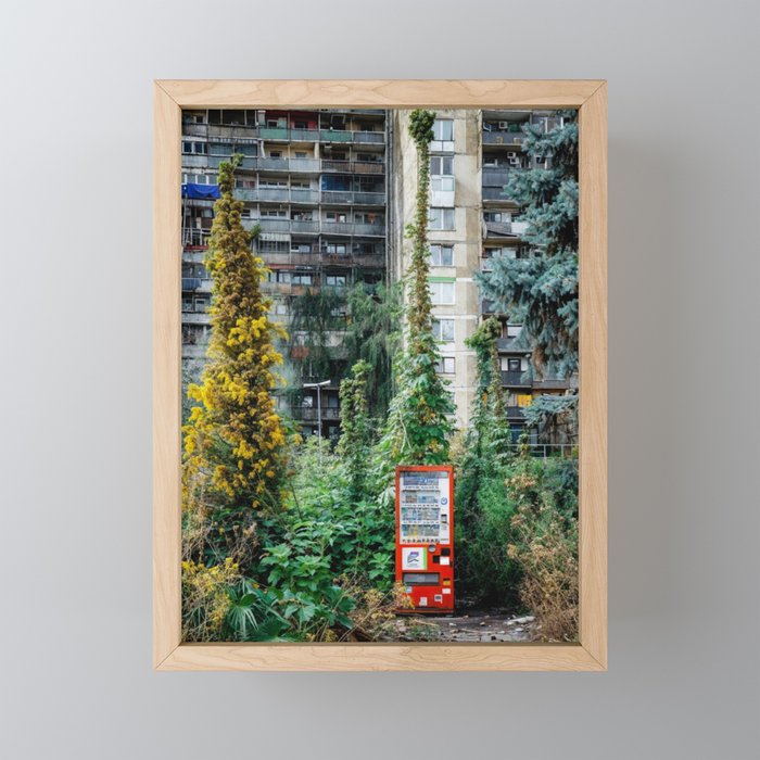 Framed Mini Art Print