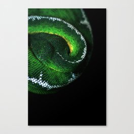 Green Snake Canvas Print