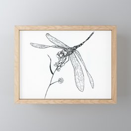 Dragonfly quick sketch Framed Mini Art Print