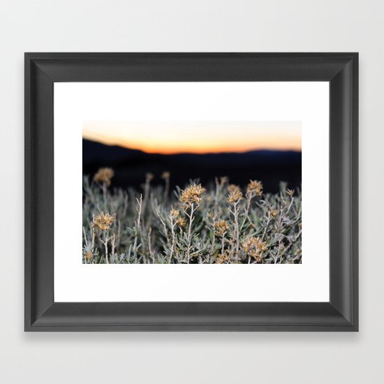 Sagebrush Framed Art Print