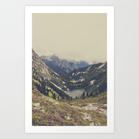 Mountain Flowers Art Print