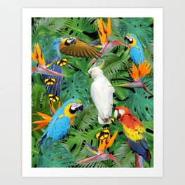 Macaw Parrots - Bird of Paradies Jungle Butterflies Art Print