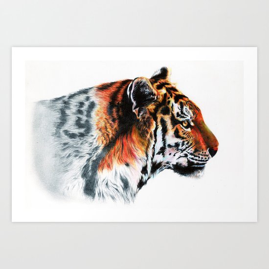 Sumathra Tiger Art Print