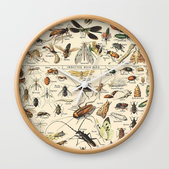 Insect Vintage Science Chart Wall Clock