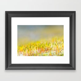 Colorful sprouts Framed Art Print