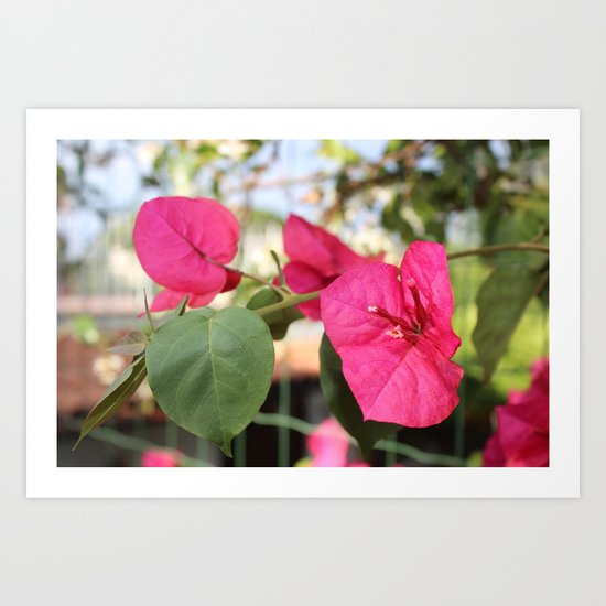 Violet Flower Art Print