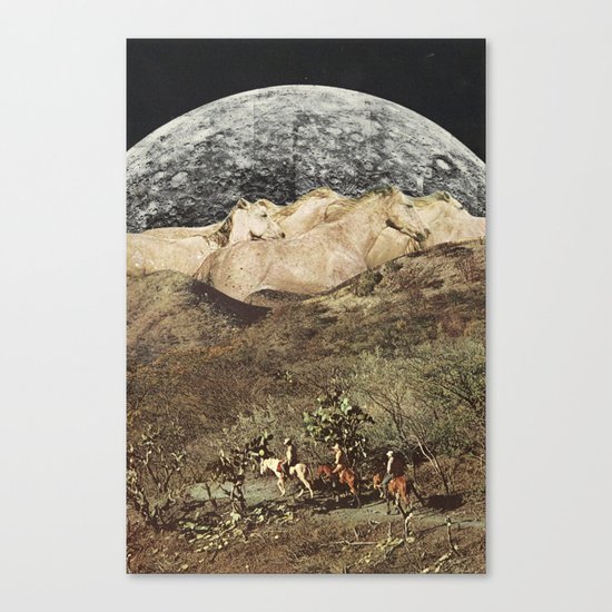 wild horses Canvas Print