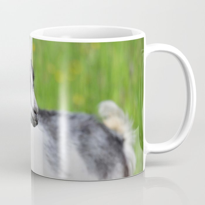 Domestic Goat Eats Grass Meadow Summer   64 Coffee Mug