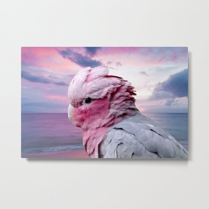 Pink Bird Galah Cockatoo Metal Print