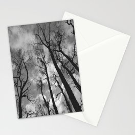 Birch Trees Perspective Scottish Highlands Style in Black and White Stationery Card