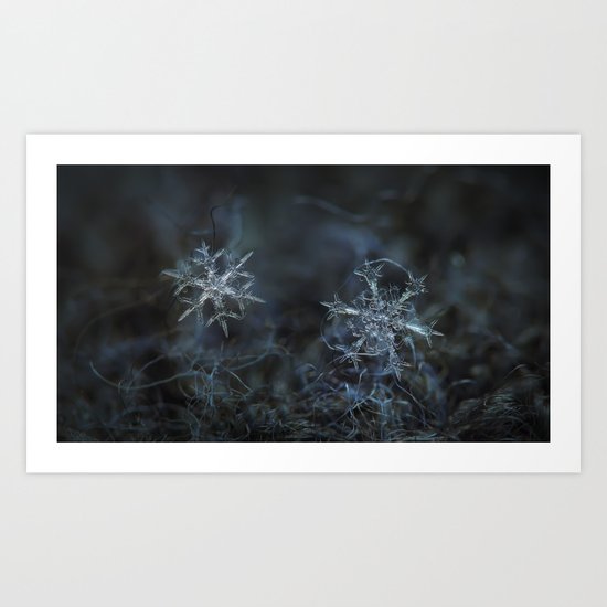 Real snowflake macro photo - When winters meets 2 Art Print