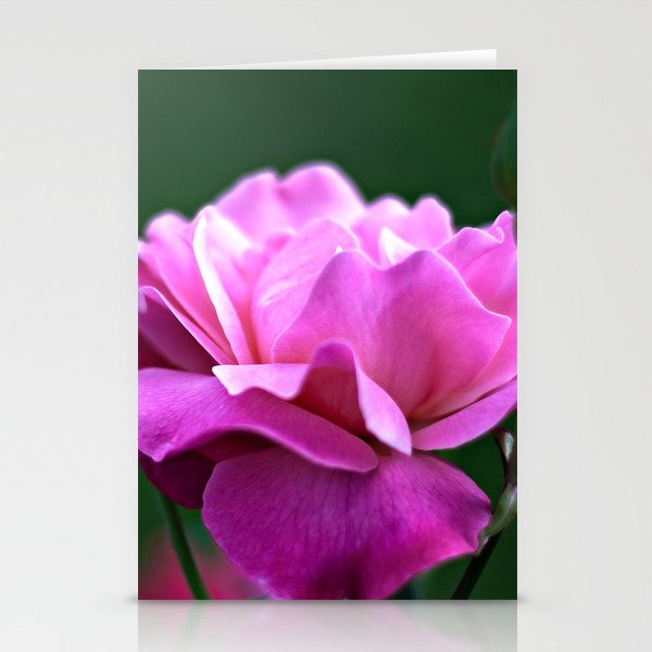 una rosa Stationery Cards