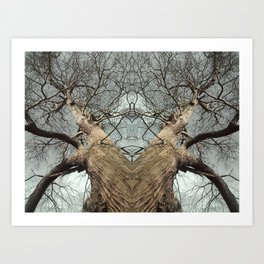 Antlers Art Print | Woodland, Blue, Collage, Branches, Antlers, Sky, Nature, Abstract, Twisted, Digital 