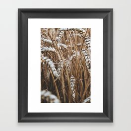 Wheat - Landscape Wall Art - Neutral Art | Set 1/2 Framed Art Print
