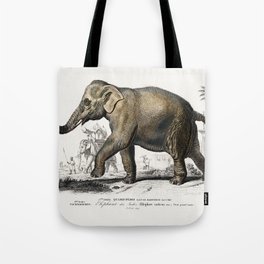 Asiatic elephant (Elephas maximus) indicus illustrated by Charles Dessalines D' Orbigny (1806-1876) Tote Bag