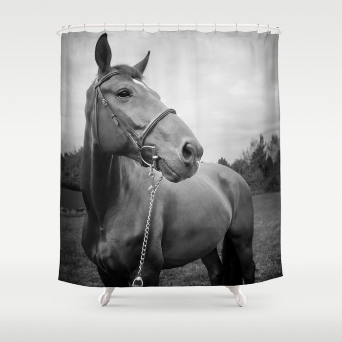 Horses of Instagram Shower Curtain