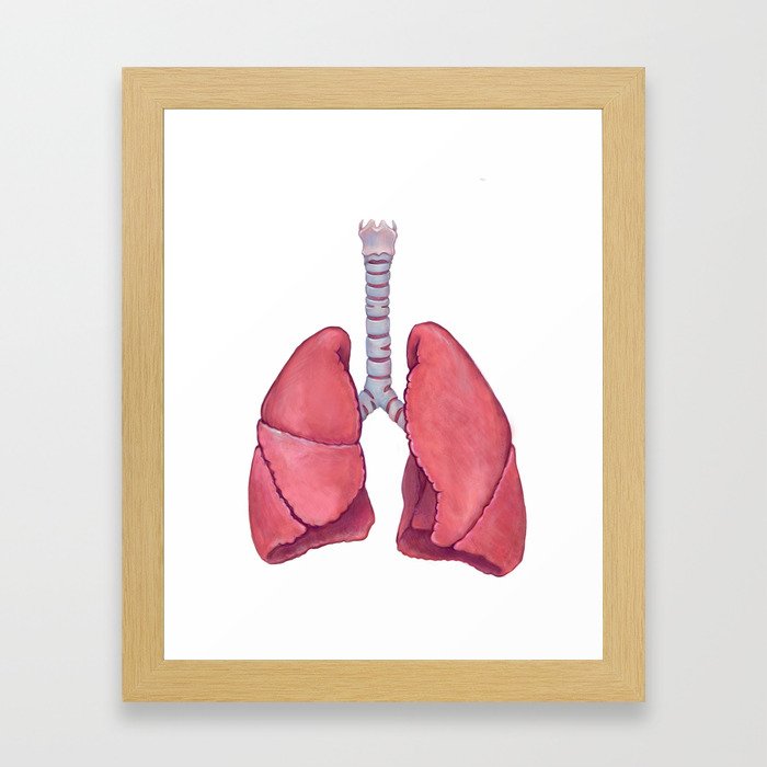 Human Anatomy Lungs Framed Art Print