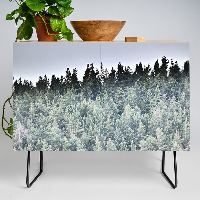 Scottish Highlands Evergreen Pine Forest in I Art and Afterglow Credenza
