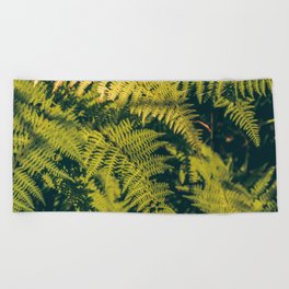 A green fern plants background with shadows.  Beach Towel