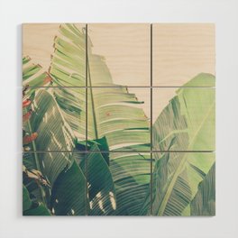 Diversity - tropical banana leaf photograph Wood Wall Art