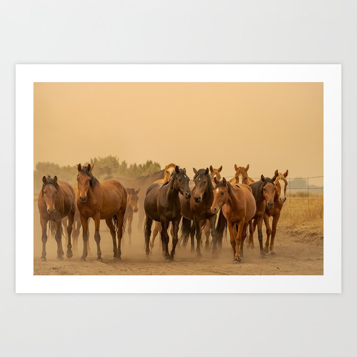 Wild Horses 6608 - Northwestern Nevada Art Print