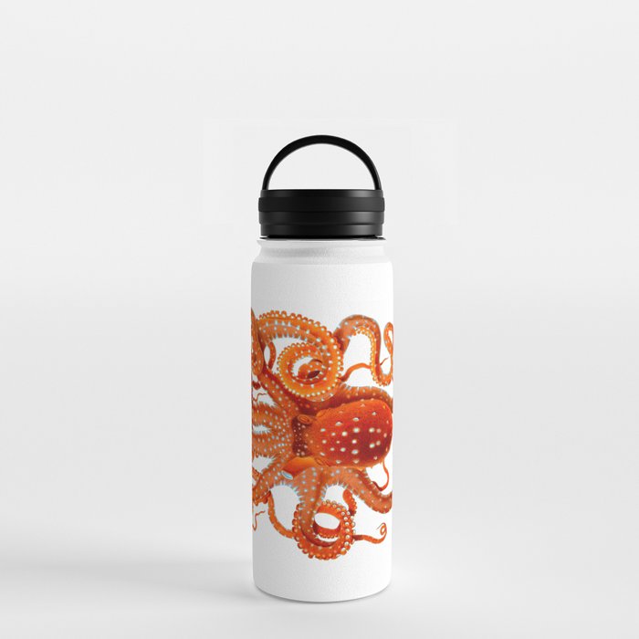 Vintage Octopus Water Bottle