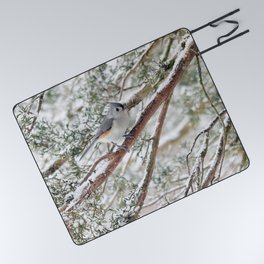 Tufted Titmouse on a Snowy Branch Picnic Blanket