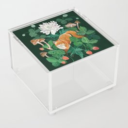 Strawberry Fox Acrylic Box