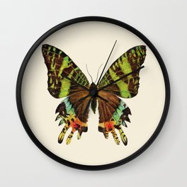 Madagascan Sunset Moth Watercolor Vintage Butterfly  Wall Clock