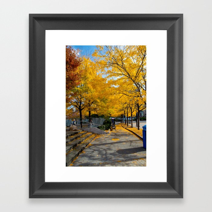 Autumn in NY Framed Art Print