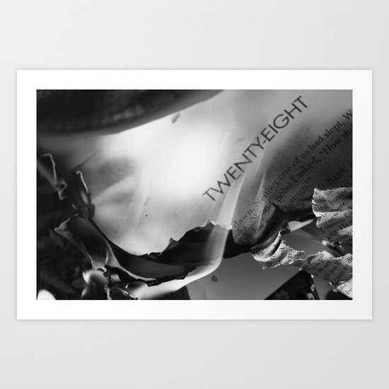 Burning Books Art Print
