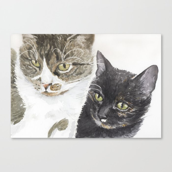 Two cats - tabby and tortie  Canvas Print