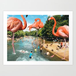 Flamingo Shore Art Print