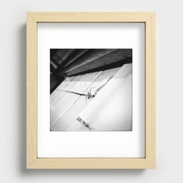 A Stick Bug Steps Out Recessed Framed Print
