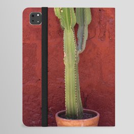Mexico Photography - Small Cactus In Front Of A Red Brick Wall iPad Folio Case