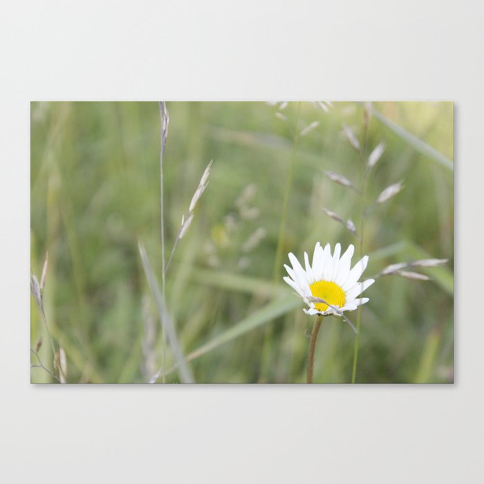 wind-pollinated flowers • nature photography Canvas Print