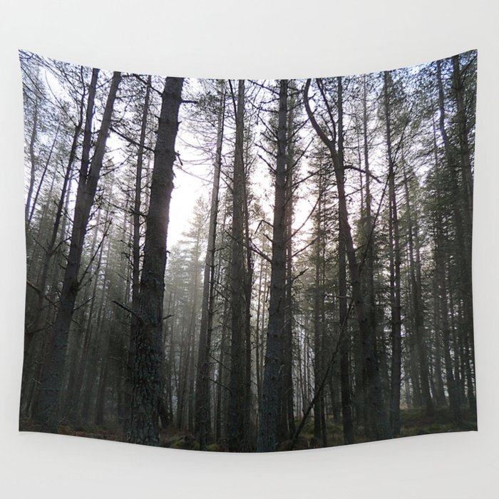 Scottish Highland's Pine Forest Misty Scene in Afterglow  Wall Tapestry
