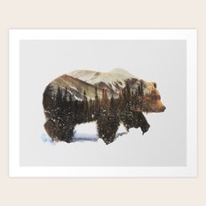 Arctic Grizzly Bear Art Print