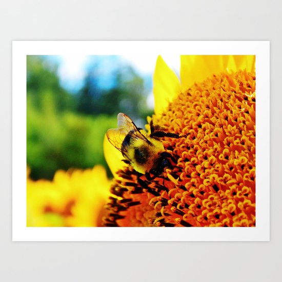 Feasting Bee Art Print