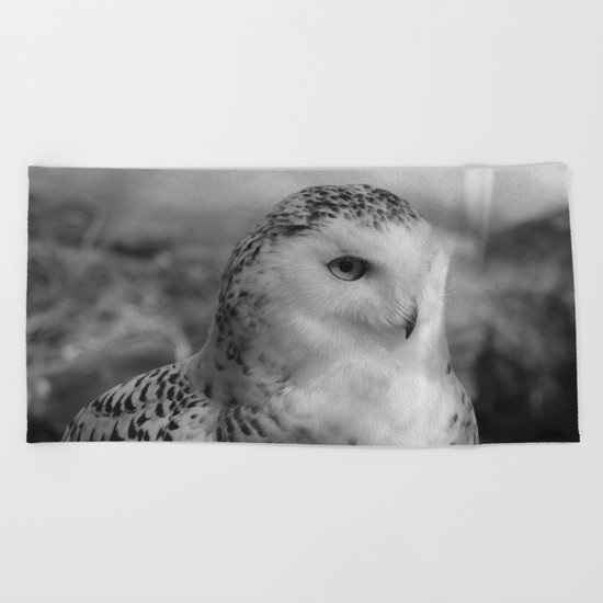 Snowy Owl - B & W Beach Towel