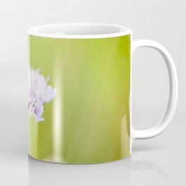 Butterfly on a flower Coffee Mug