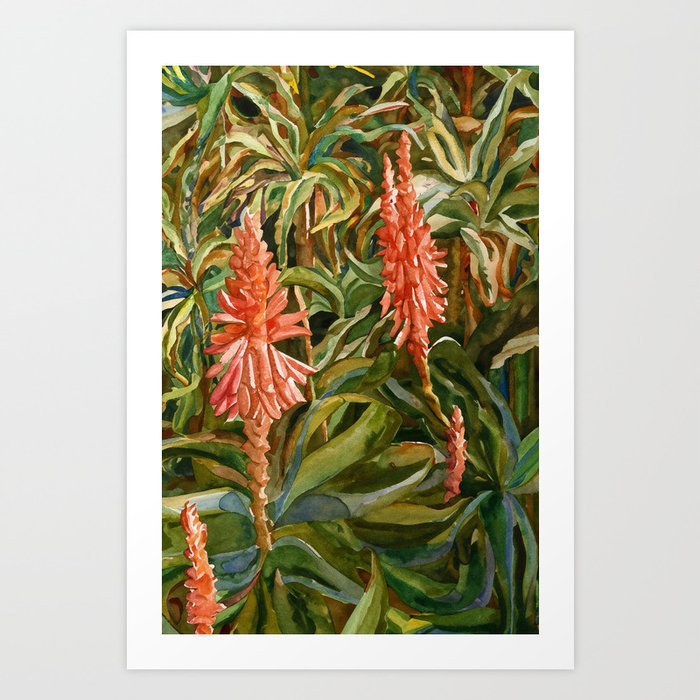 Aloe Flowers | Watercolor | California Floral Art Print