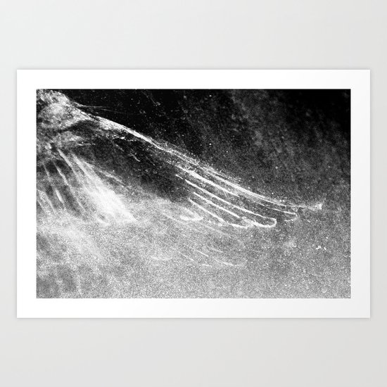 Featherdusted 1 Art Print