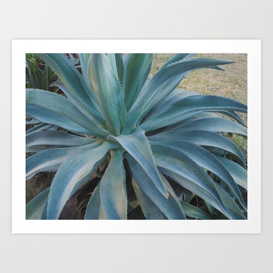 Henequen at Chichen Itza Art Print