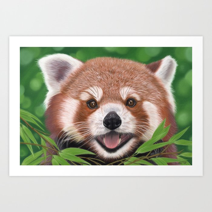 Red Panda Portrait 01 Art Print
