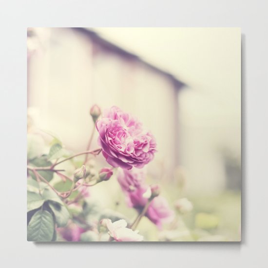 Purple rose Metal Print