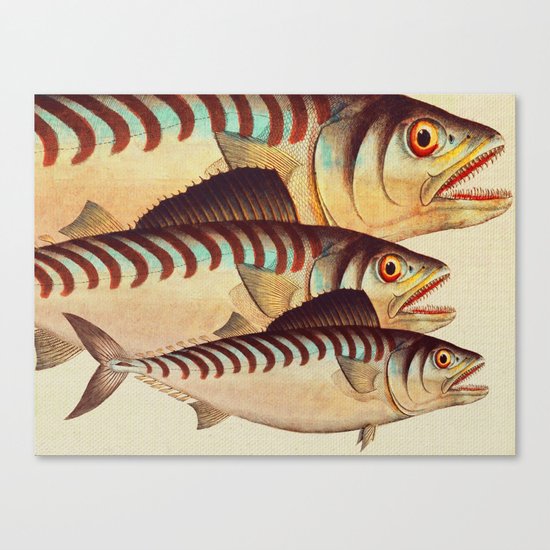 Fish Classic Designs 8 Canvas Print