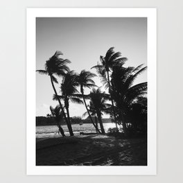 black and white palm trees Art Print